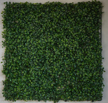 画像をギャラリービューアに読み込む, MAGIPEA Original PICKBACKER 背景セット A Type