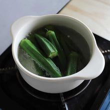 画像をギャラリービューアに読み込む, JIA STEAMER MINI